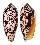 CONIDAE CONUS AULICUS shell