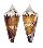 CONIDAE CONUS GENERALIS REGENFUSSI shell