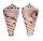 CONIDAE CONUS HIRASEI shell