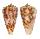 CONIDAE CONUS ALEXANDREI shell