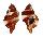 RANELLIDAE CYMATIUM BIBBEYI shell