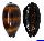 CYPRAEIDAE TALPARIA TALPA shell