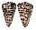 CONIDAE CONUS LITTERATUS shell