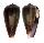CONIDAE CONUS RADIATUS shell