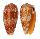 CONIDAE CONUS BULLATUS shell