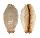 CYPRAEIDAE STAPHYLEA LIMACINA shell