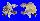 XENOPHORIDAE XENOPHORA MEKRANENSIS KONOI shell