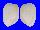 TRAPEZIDAE GLOSSOCARDIA OBESA shell