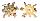 XENOPHORIDAE XENOPHORA MEKRANENSIS KONOI shell