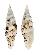 MITRIDAE COSTELLARIA MIRABILE shell