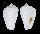 STROMBIDAE STROMBUS LUHUANUS shell