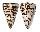 CONIDAE CONUS LITTERATUS shell