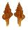 FASCIOLARIIDAE LATIRUS cf. PAETELIANUS shell