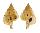 RANELLIDAE GYRINEUM BITUBERCULARE shell