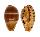 CYPRAEIDAE PALMADUSTA LUTEA shell