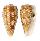 CONIDAE CONUS CERVUS shell