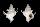 CORALLIOPHILIDAE BABELOMUREX ARMATUS shell