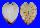 GLOSSIDAE MEIOCARDIA HAWAIANA shell