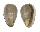 MARGINELLIDAE MARGINELLA  BERNARDI shell