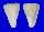 CONIDAE CONUS ADAMI shell