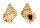 BURSIDAE BURSA LUCAENSIS shell