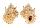 BURSIDAE BURSA TUBEROSISSIMA shell