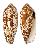 CONIDAE CONUS AULICUS AURANTIA shell