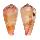CONIDAE CONUS PERTUSUS AMABILIS shell