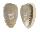 MARGINELLIDAE CRYPTOSPIRA TRICINCTA shell
