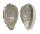 MARGINELLIDAE CRYPTOSPIRA TRICINCTA shell
