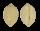 CYPRAEIDAE IPSA CHILDRENI LEFORTI shell