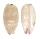 CYPRAEIDAE CYPRAEA MINORIDENS BLANDITA shell