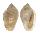 MARGINELLIDAE MARGINELLA PIPERATA PIPERATA shell