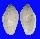 MARGINELLIDAE MARGINELLA ROSEA shell