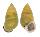 LANDSNAIL AMPHIDROMUS BUTOTI shell