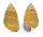LANDSNAIL AMPHIDROMUS BUTOTI shell