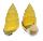 LANDSNAIL AMPHIDROMUS BUTOTI shell