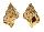 BURSIDAE BURSA IGNOBILIS shell