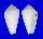 CONIDAE CONUS COCCEUS shell