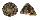 TROCHIDAE TROCHUS NIGROPUNCTATUS shell