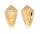 CONIDAE CONUS CYANOSTOMA INNOTABILIS shell