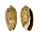 OLIVIDAE OLIVA EMELIODINA shell