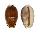 CYPRAEIDAE EROSARIA LABROLINEATA MELANICA shell