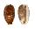 CYPRAEIDAE EROSARIA LABROLINEATA MELANICA shell