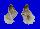 MURICIDAE FAVARTIA TETRAGONUS shell