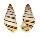 LANDSNAIL AMPHIDROMUS LAEVUS shell