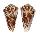CONIDAE CONUS SULCOCASTANEUS shell