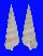EPITONIIDAE AMAEA cf. SPLENDIDA shell