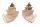 CANCELLARIIDAE TRIGONOSTOMA THYSTHLON shell