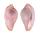 OVULIDAE APERIOVULA JEANEA shell